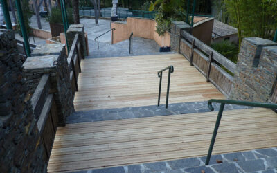 BAMBOUSERAIE PASSERELLE BASSIN