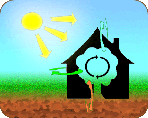 Les bases écologiques